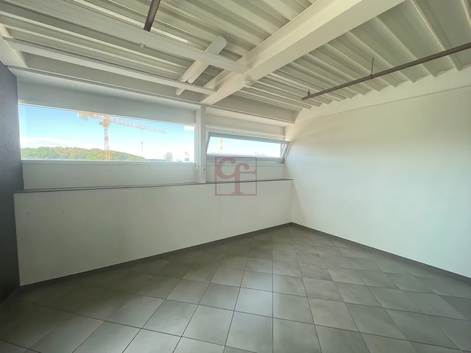 Locale commerciale in affitto – foto 7 di 10
