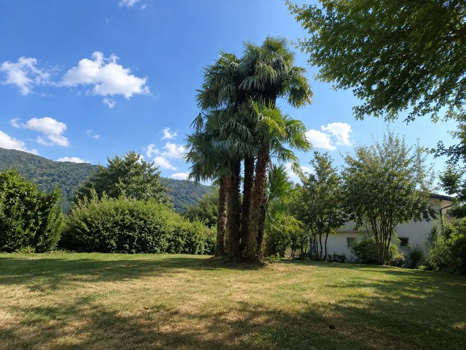 Terreno di 1000 m², ampio potenziale di ristrutturazione e pergola con camino – foto 36 di 43