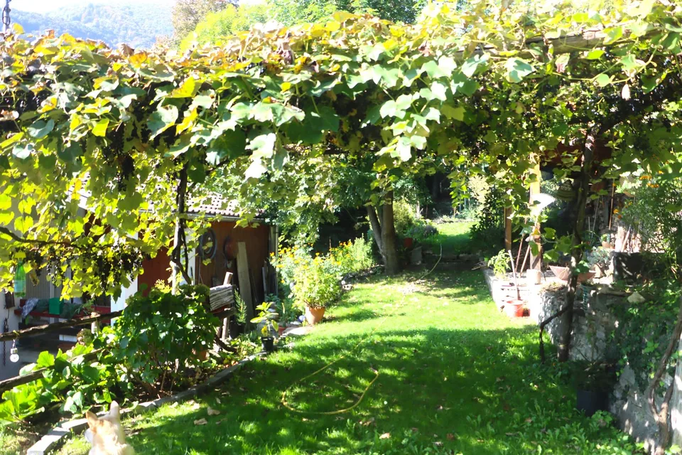 Maison charmante avec deux appartements prêts à emménager – photo 7 sur 19