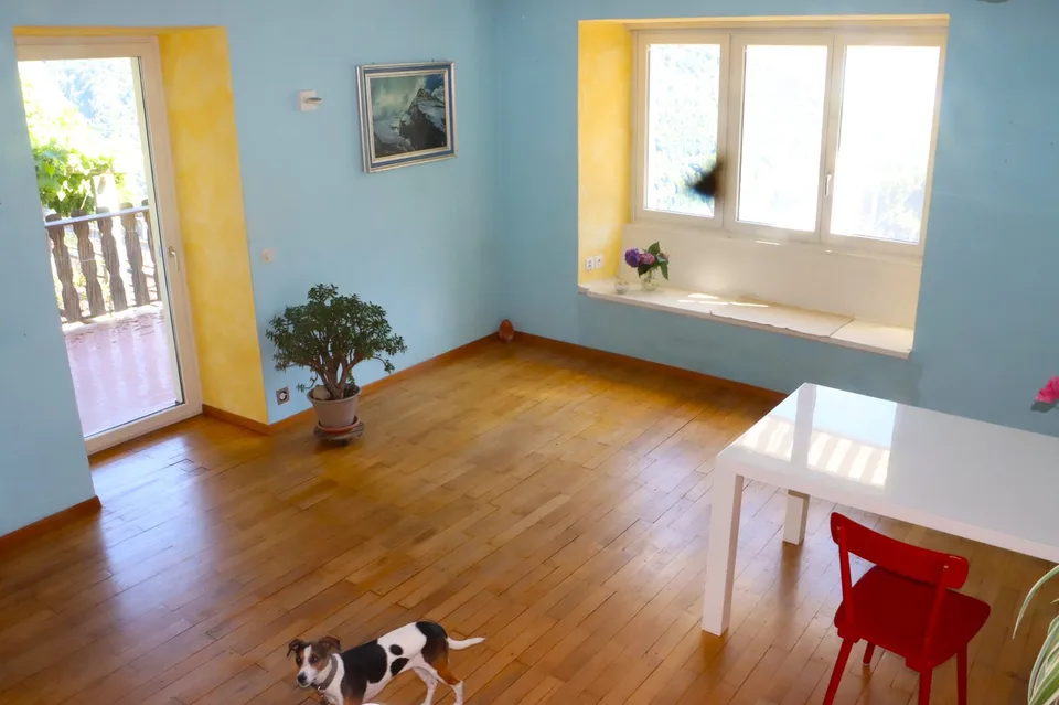 Maison charmante avec deux appartements prêts à emménager – photo 11 sur 19