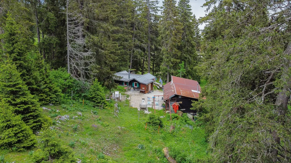 Buvette d'alpage au coeur de la nature – photo 6 sur 13