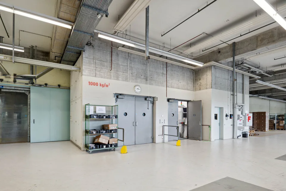 Area Mammut Areal Seon - Spazio industriale per industria, logistica e ufficio – foto 6 di 13