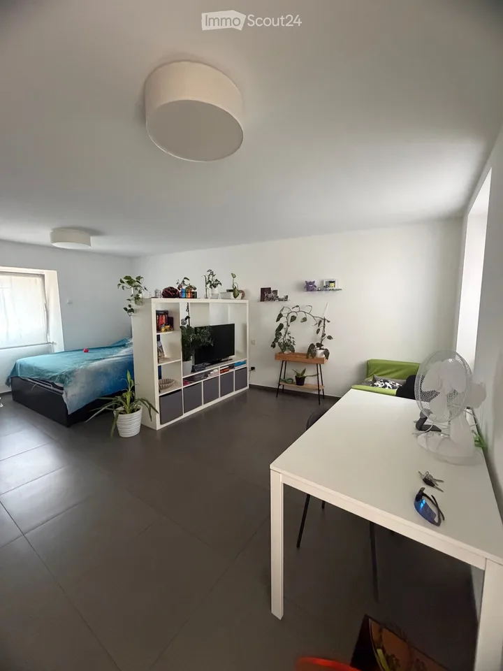 1,5 Zimmerwohnung in Barbengo – Foto 2 von 5