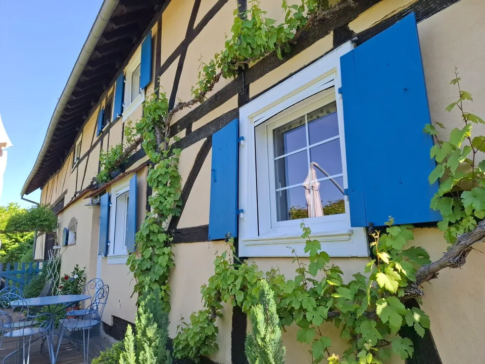 Réf: 11134: Axe Bâle - Altkirch: Propriété env. 155 m² + surface utile env. 113 m² – Foto 13 von 30