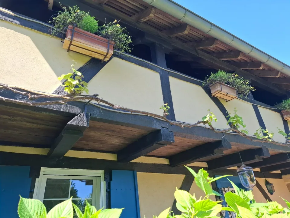Réf: 11134: Axe Bâle - Altkirch: Propriété env. 155 m² + surface utile env. 113 m² – Foto 10 von 30