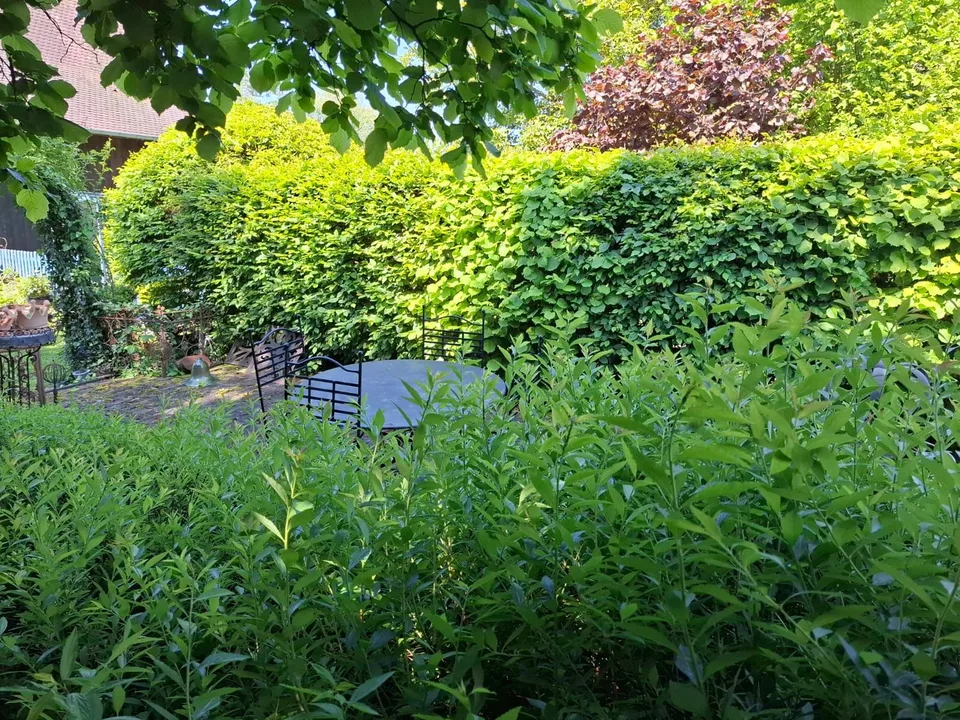 Réf: 11134: Axe Bâle - Altkirch: Propriété env. 155 m² + surface utile env. 113 m² – Foto 14 von 30