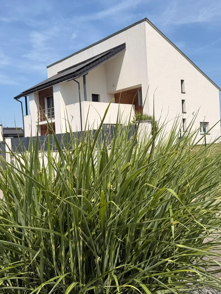 Réf: 11178*** Couronne Sud de Mulhouse: Splendide Villa de classe env. 330 m² – Foto 11 von 30