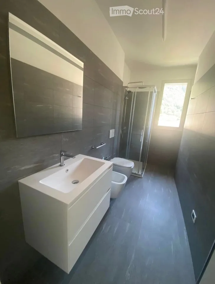 Recherche remplaçant pour appartement 2.5 pièces à Melano