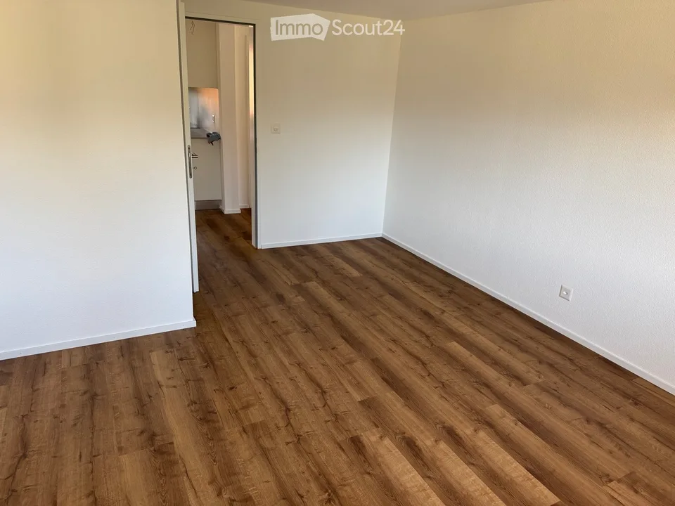 Frisch renovierte 4.5-Zimmer-Dachwohnung