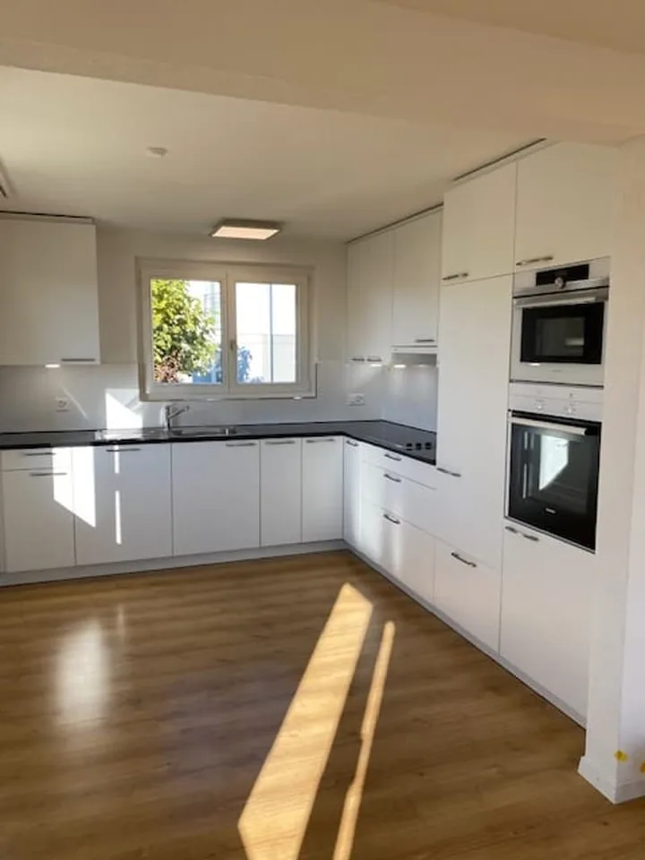 4.5 room apartment with balcony and green view