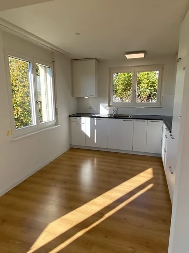 4.5 room apartment with balcony and green view