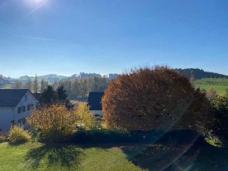 4.5 room apartment with balcony and green view