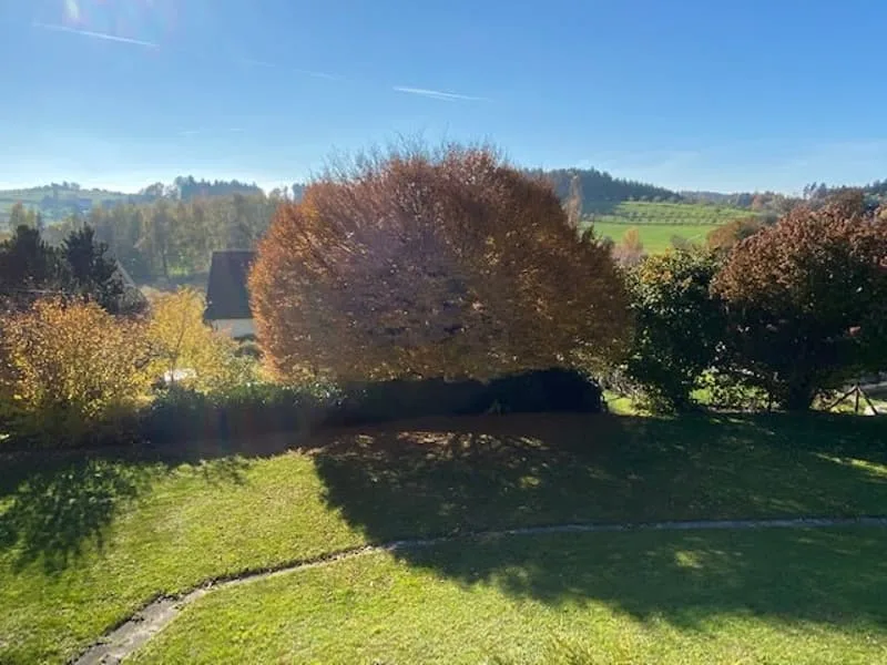 4.5 room apartment with balcony and green view