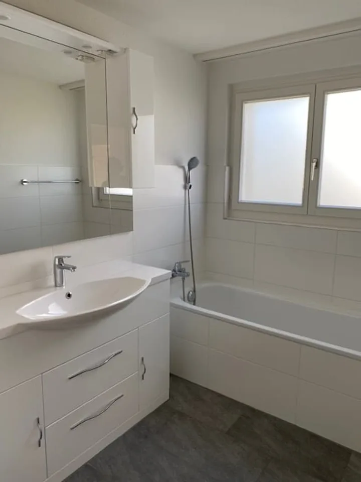 4.5 room apartment with balcony and green view