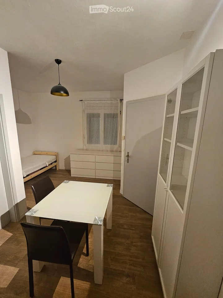 Appartamento studio arredato in affitto a Bitsch, Vallese