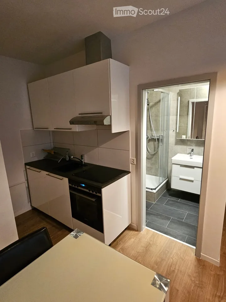 Appartamento studio arredato in affitto a Bitsch, Vallese