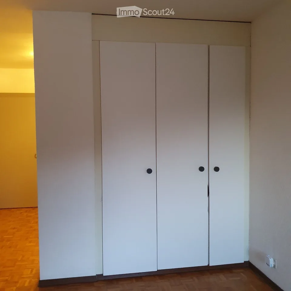 Monolocale in affitto a Monthey