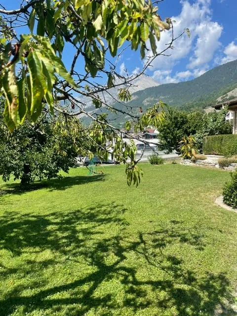 Bella villa individuale con terreno e giardino riccamente alberato – foto 16 di 19