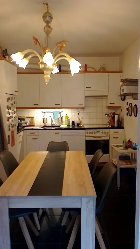 3½ ZI-WOHNUNG IN BERN - MATTENHOF, MÖBLIERT, TEMPORÄR – foto 7 di 18