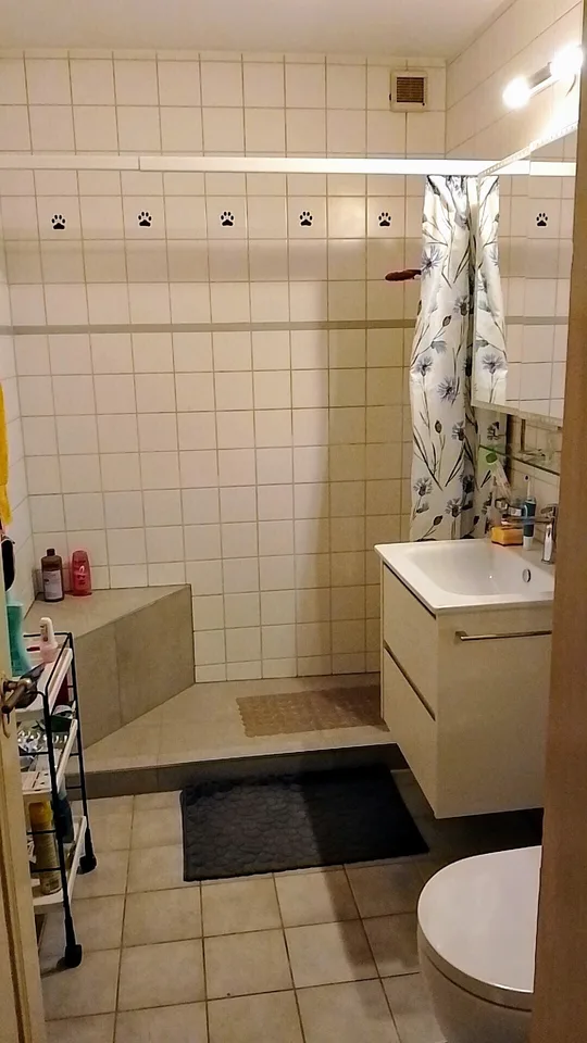 3½ ZI-WOHNUNG IN BERN - MATTENHOF, MÖBLIERT, TEMPORÄR – foto 6 di 18