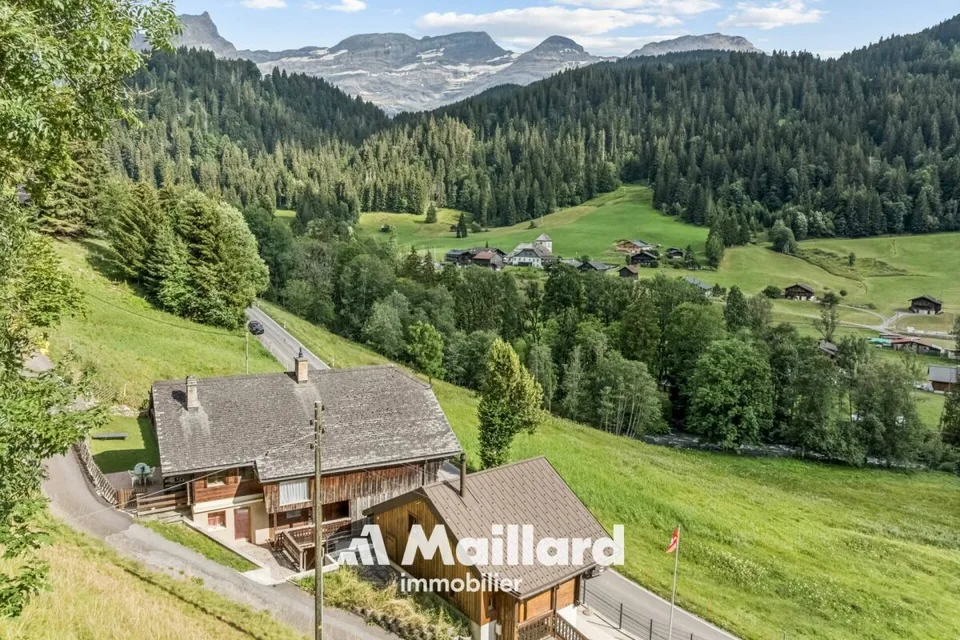 Building with 4 apartments near Diablerets – photo 14 of 14