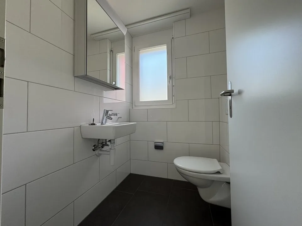 Cozy 4.5 Room Apartment in Bubendorf