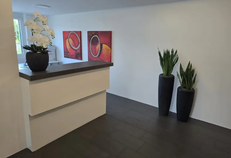 Schöne, modern ausgebaute Büroräumlichkeiten in Jonen AG – Foto 4 von 9
