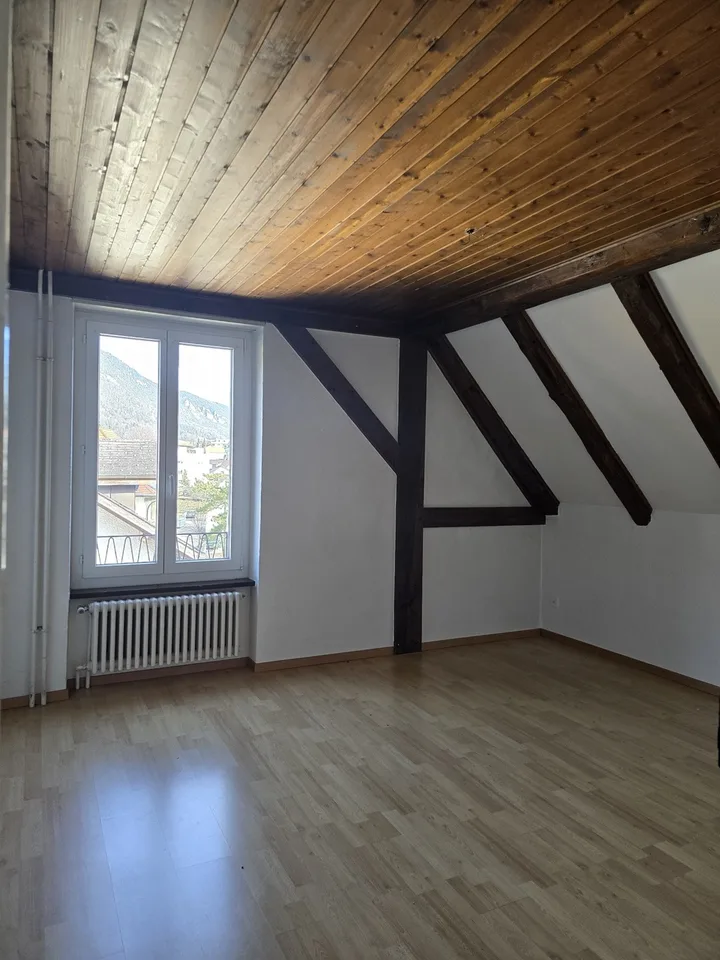 Duplex attic with character!