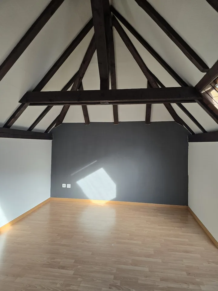 Duplex attic with character!