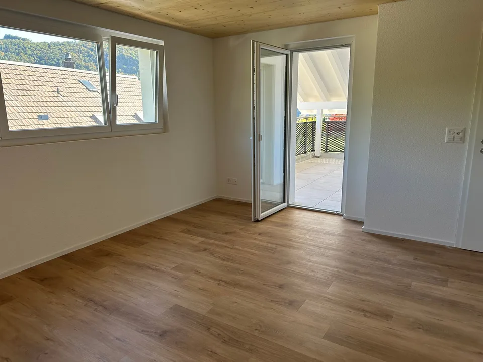Moderne 5.5-Zimmer-Neubau-Einfamilienhaus mit Bergblick in Muemliswil