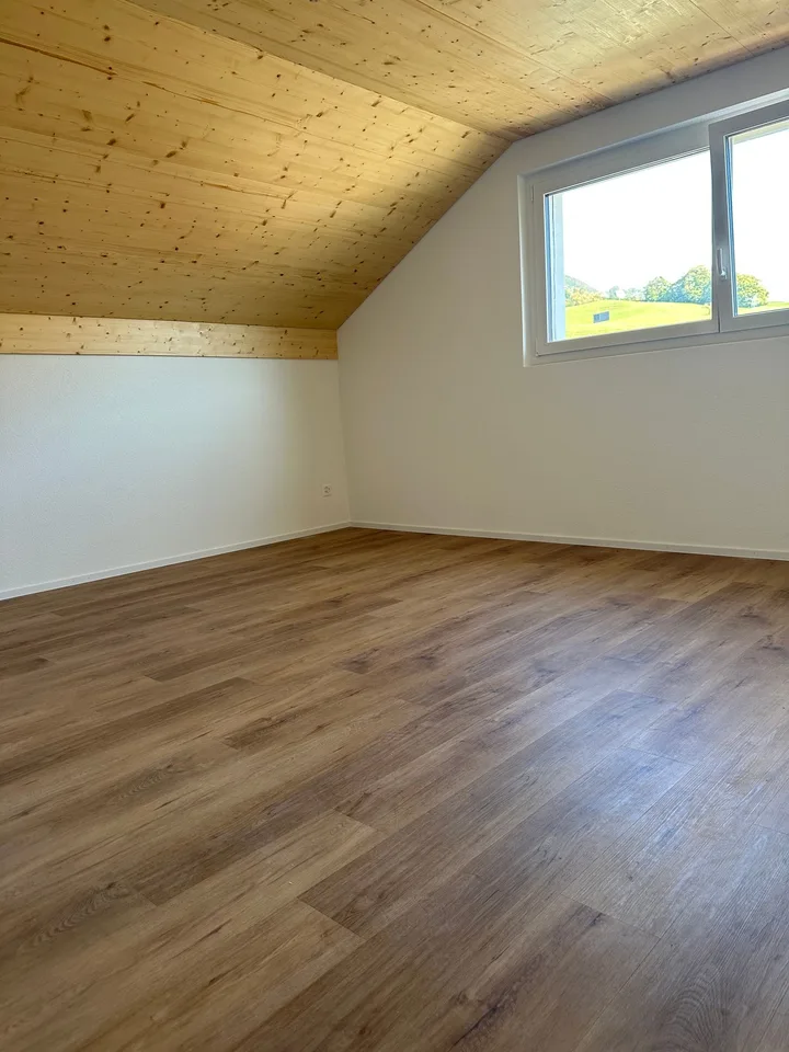 Moderne 5.5-Zimmer-Neubau-Einfamilienhaus mit Bergblick in Muemliswil