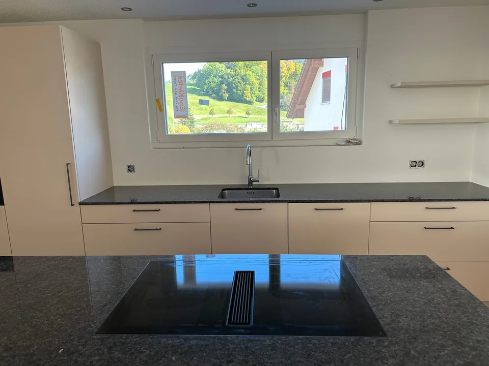 Moderne 5.5-Zimmer-Neubau-Einfamilienhaus mit Bergblick in Muemliswil