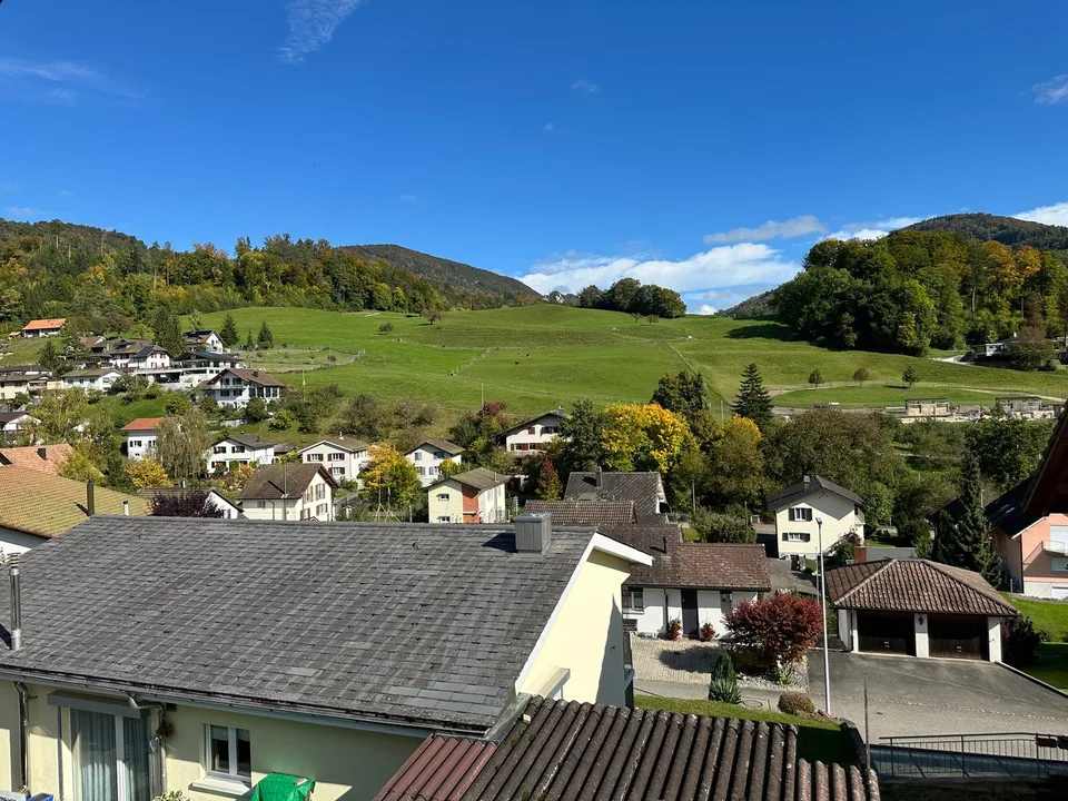 Moderne 5.5-Zimmer-Neubau-Einfamilienhaus mit Bergblick in Muemliswil