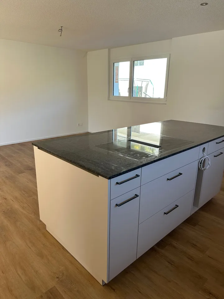 Moderne 5.5-Zimmer-Neubau-Einfamilienhaus mit Bergblick in Muemliswil
