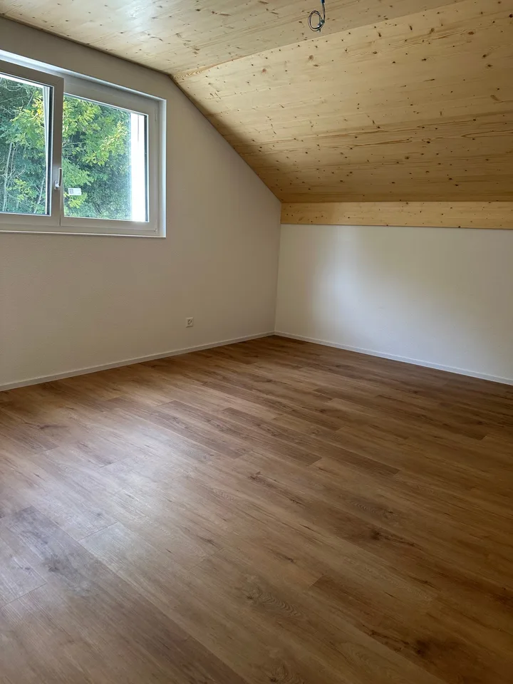 Moderne 5.5-Zimmer-Neubau-Einfamilienhaus mit Bergblick in Muemliswil
