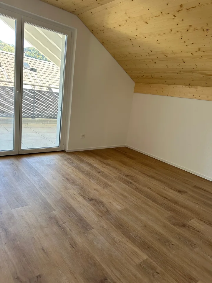 Moderne 5.5-Zimmer-Neubau-Einfamilienhaus mit Bergblick in Muemliswil
