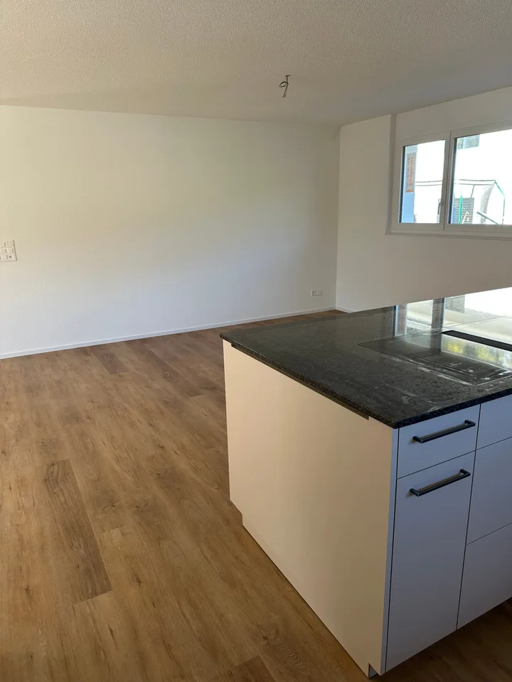 Moderne 5.5-Zimmer-Neubau-Einfamilienhaus mit Bergblick in Muemliswil