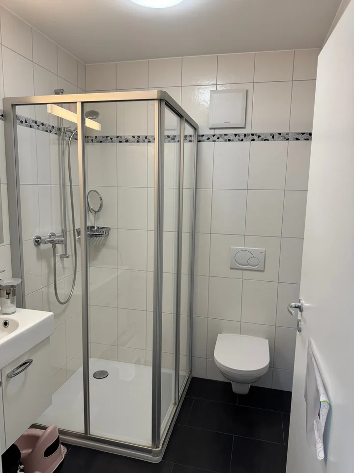 Zu verkaufen wunderschönes 4.5-Zimmer-Apartment – Foto 9 von 12