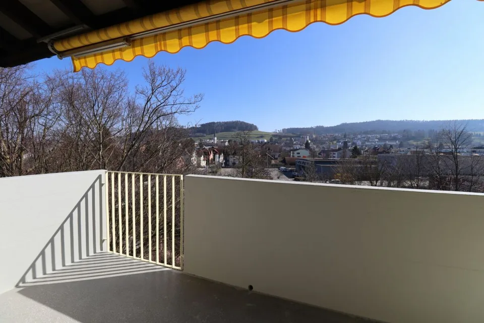 3.5 room apartment with balcony