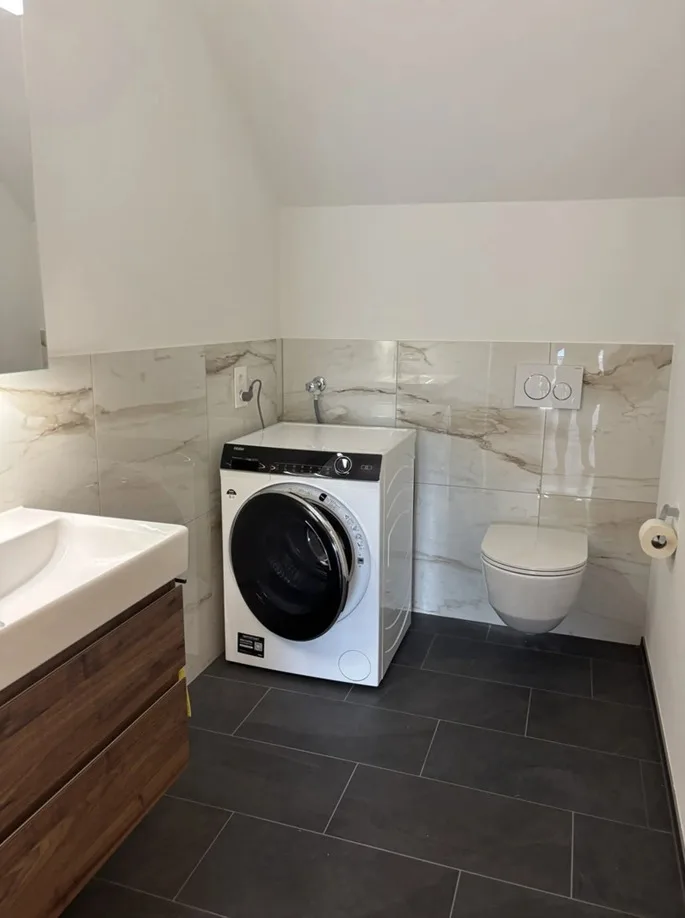 Votre maison spacieuse : appartement de 5,5 pièces rénové de manière rêveuse