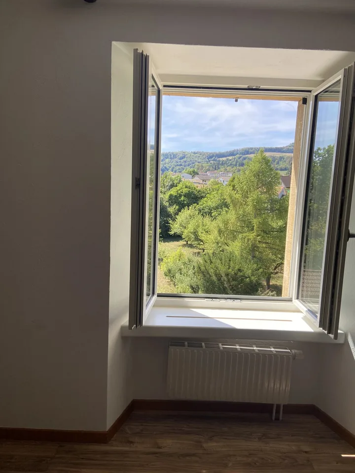 WG-Zimmer in Schinznach Dorf