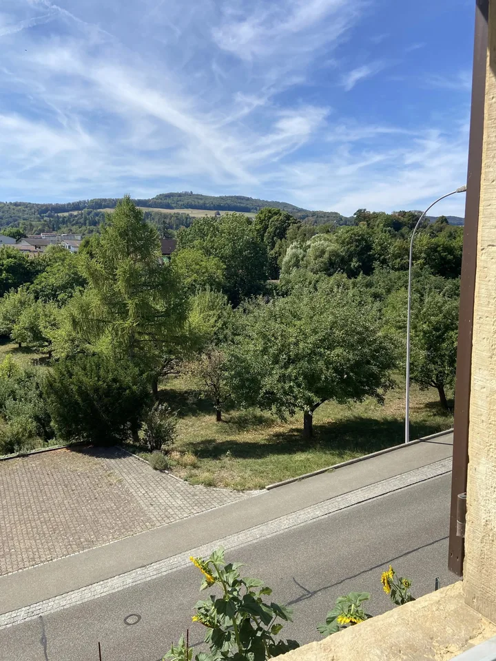 WG-Zimmer in Schinznach Dorf