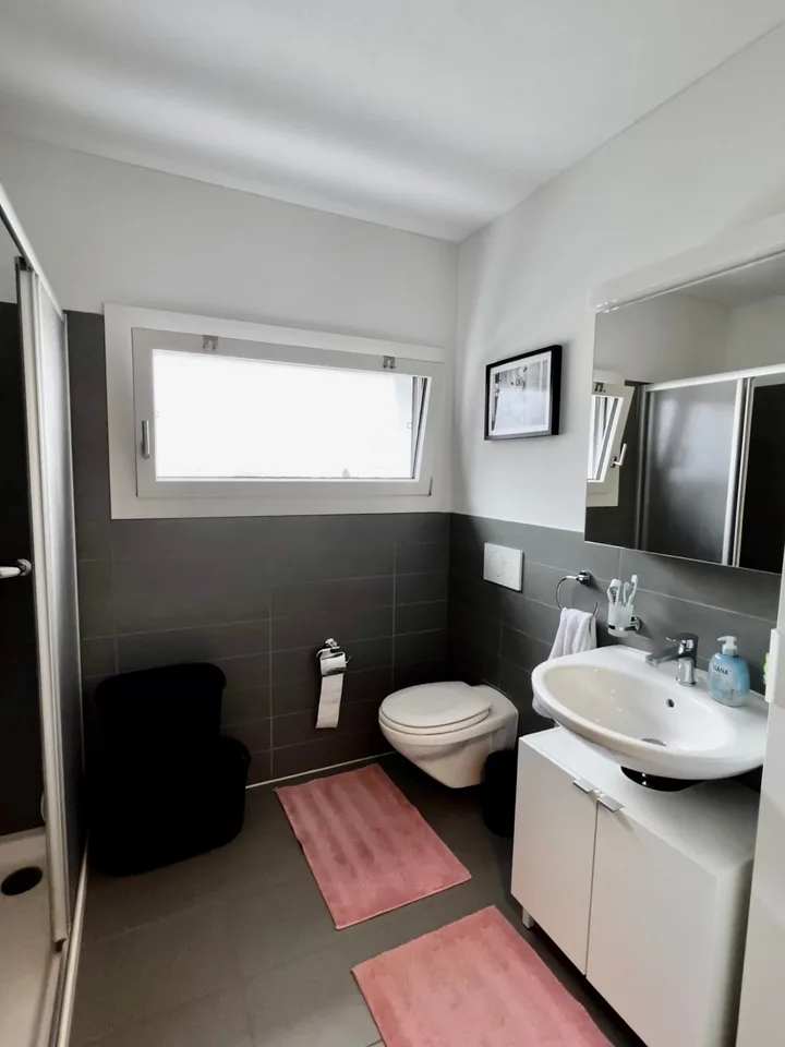 Modernes 2.5-Zimmer-Apartment mit Balkon in Arbedo-Castione