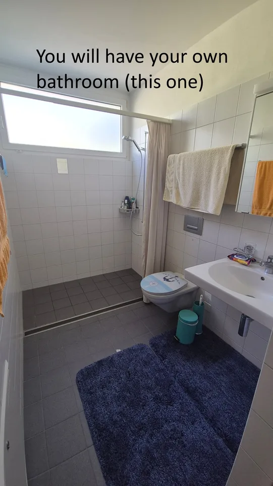 WG-Zimmer in Zürich