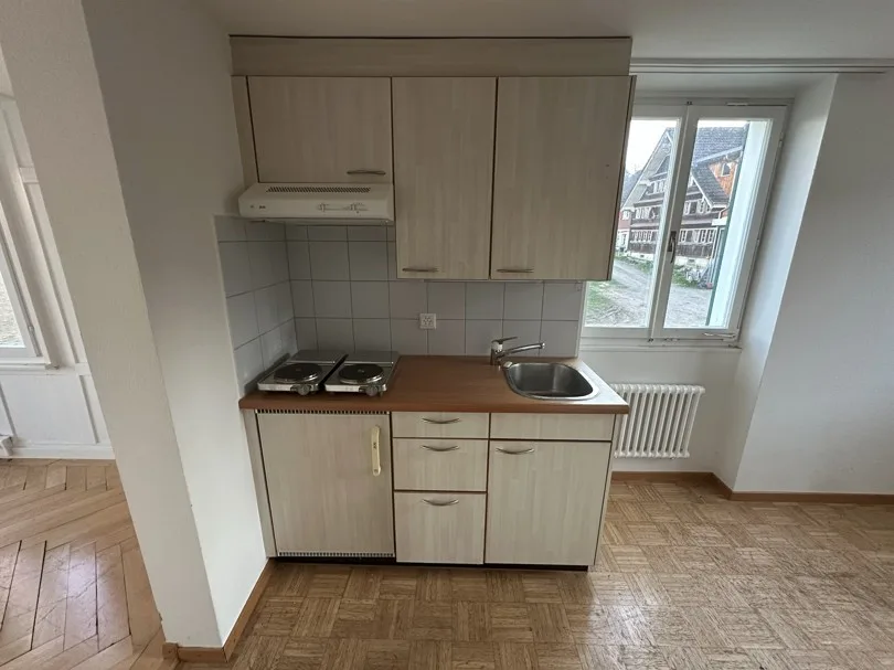 Habitation temporaire jusqu'en avril 2027 - appartement 1,5 pièces lumineux