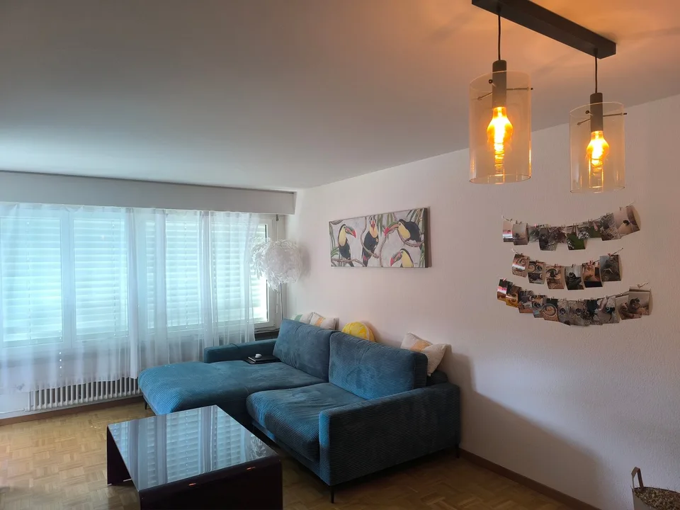 WG-Zimmer in Wettswil