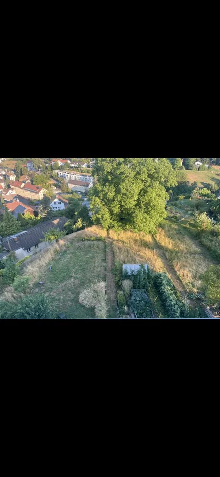 WG-Zimmer in Wald ZH