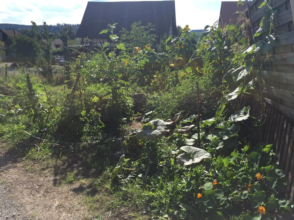 WG-Zimmer in Unterstammheim