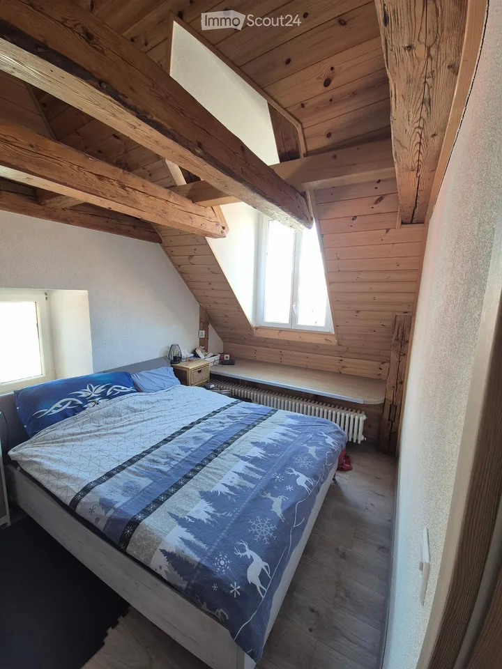 Meraviglioso appartamento di 3.5 locali vicino al centro città – foto 17 di 17