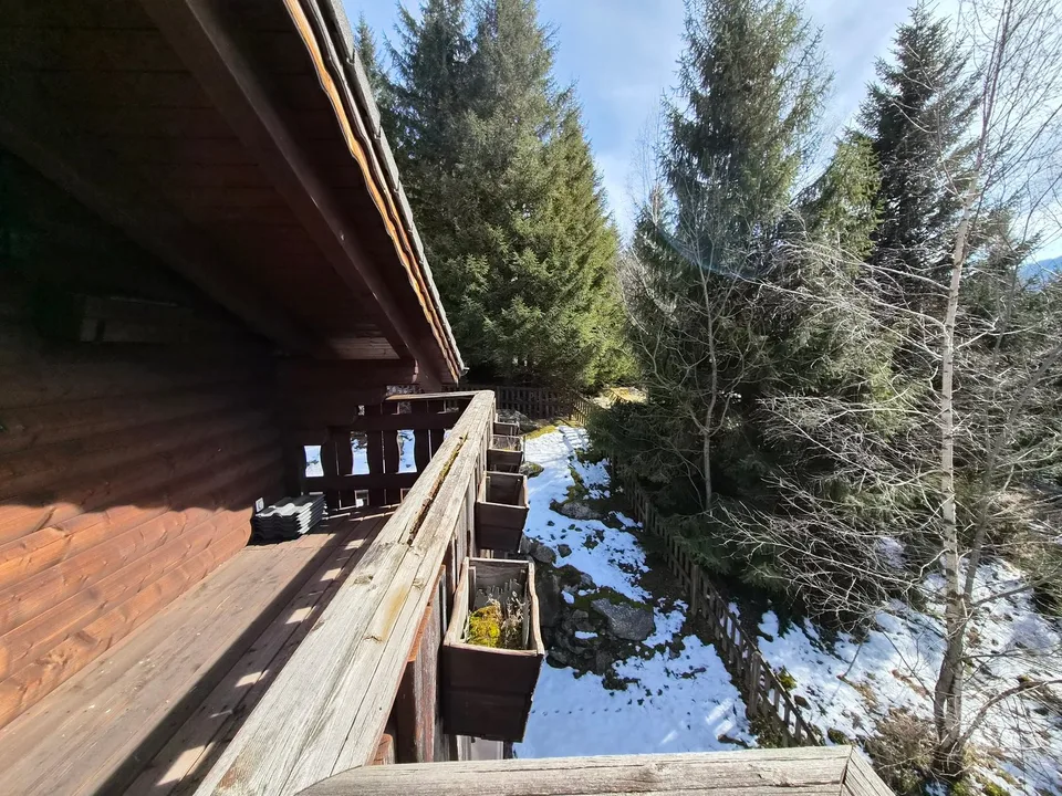 Schönes Doppelchalet mit Grundstück in der Nähe von San Bernardino – foto 8 di 30